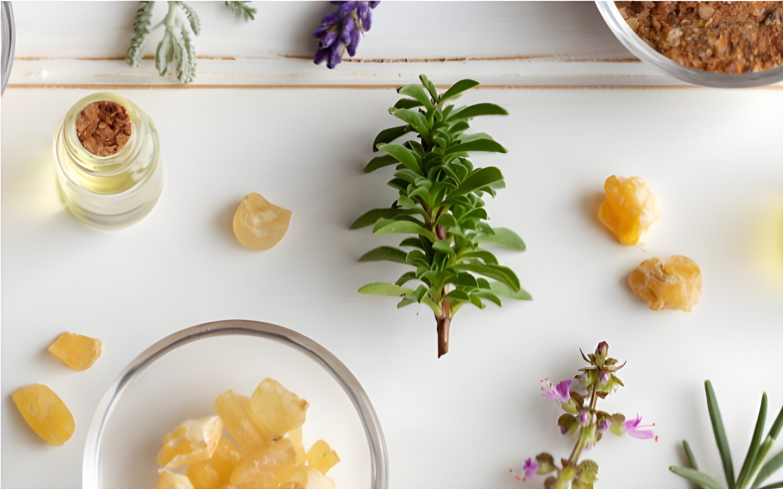 Why Choose Essential Oils for Pest Control? The Science Behind Nature’s Dome