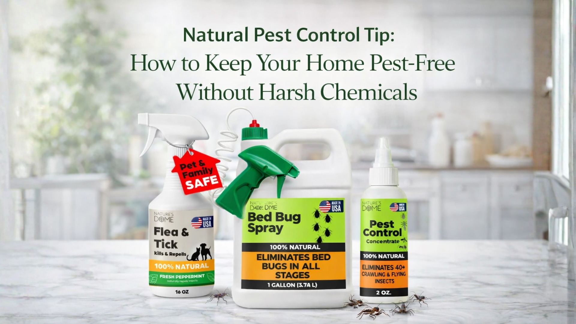 Natural Pest Control Tip: How to Keep Your Home Pest-Free Without Harsh Chemicals