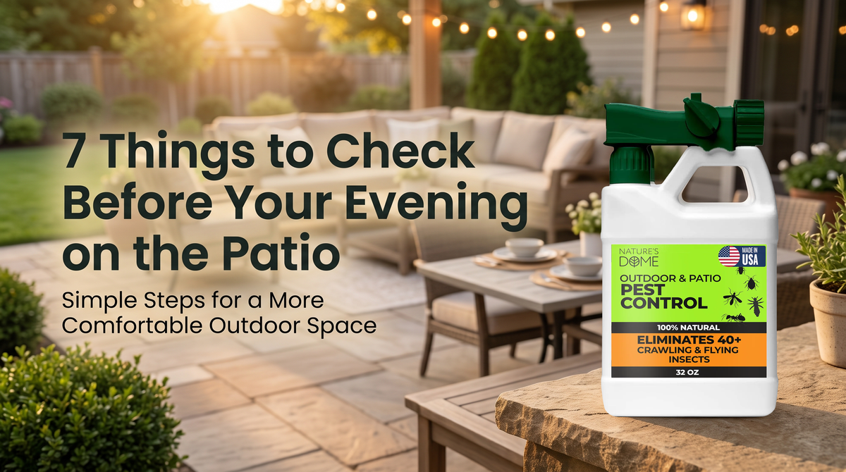 Planning an Evening on the Patio? 7 Things to Check Before Guests Arrive
