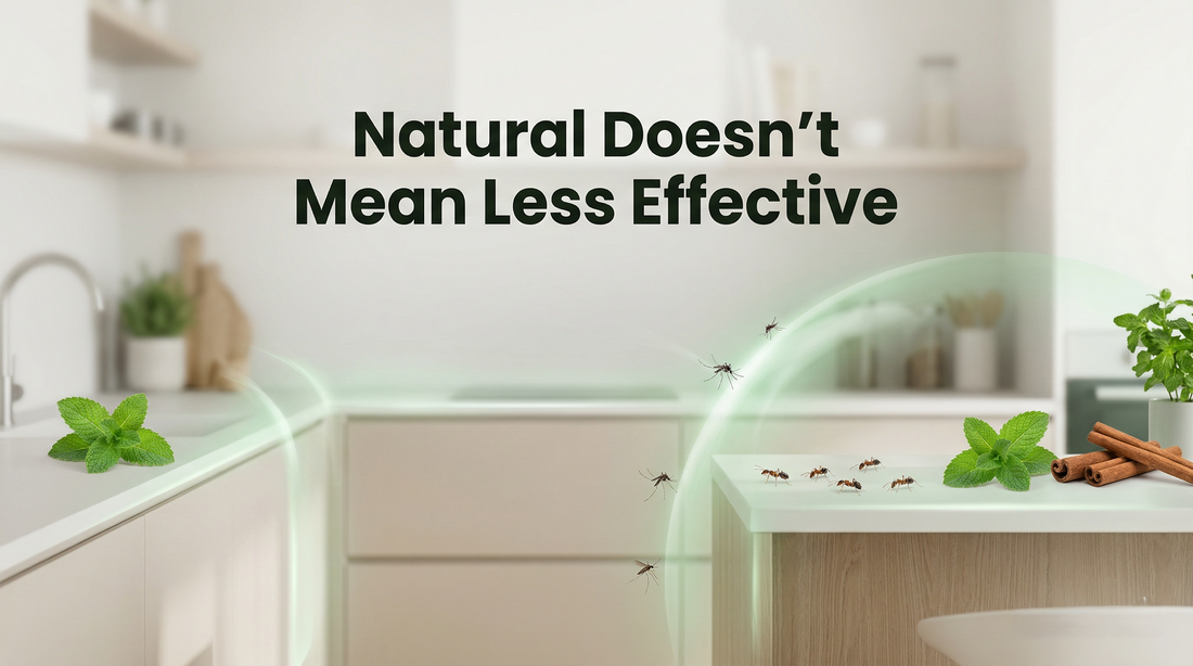 Why Essential Oils Are Effective in Pest Control
