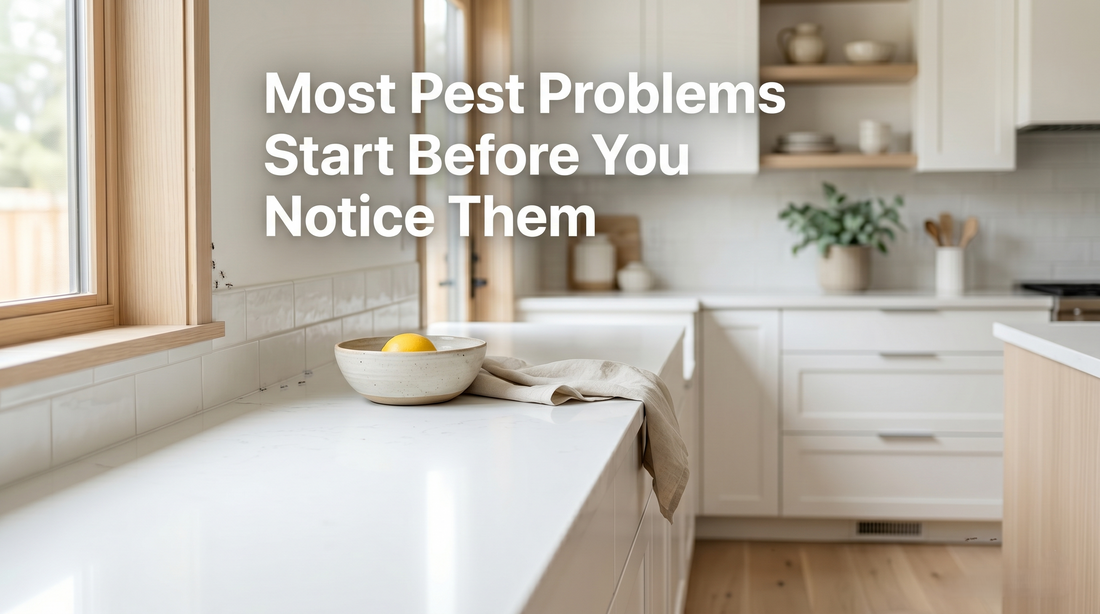 Why Most Pest Problems Start Before You Notice Them
