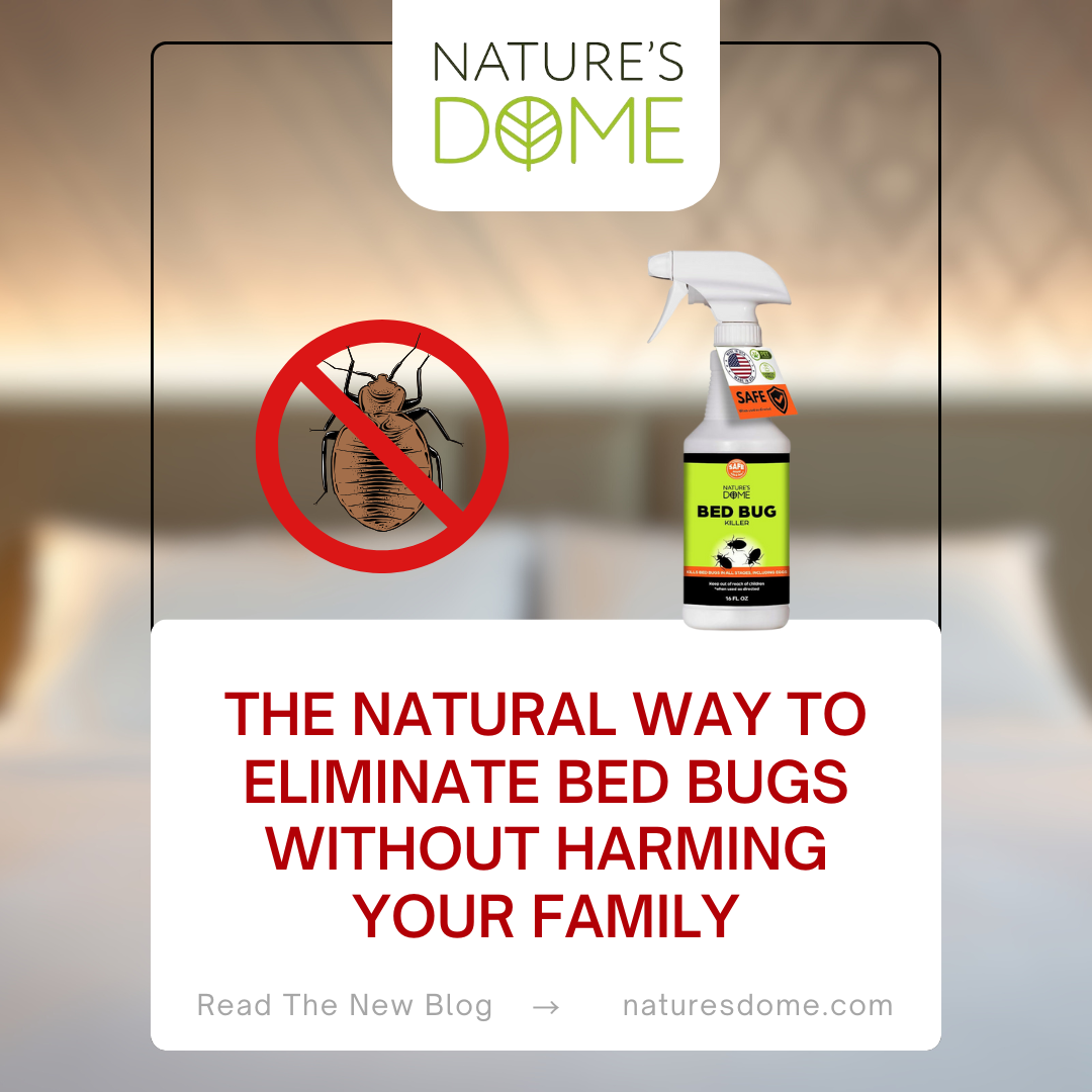 The Natural Way to Eliminate Bed Bugs Without Harming Your Family.