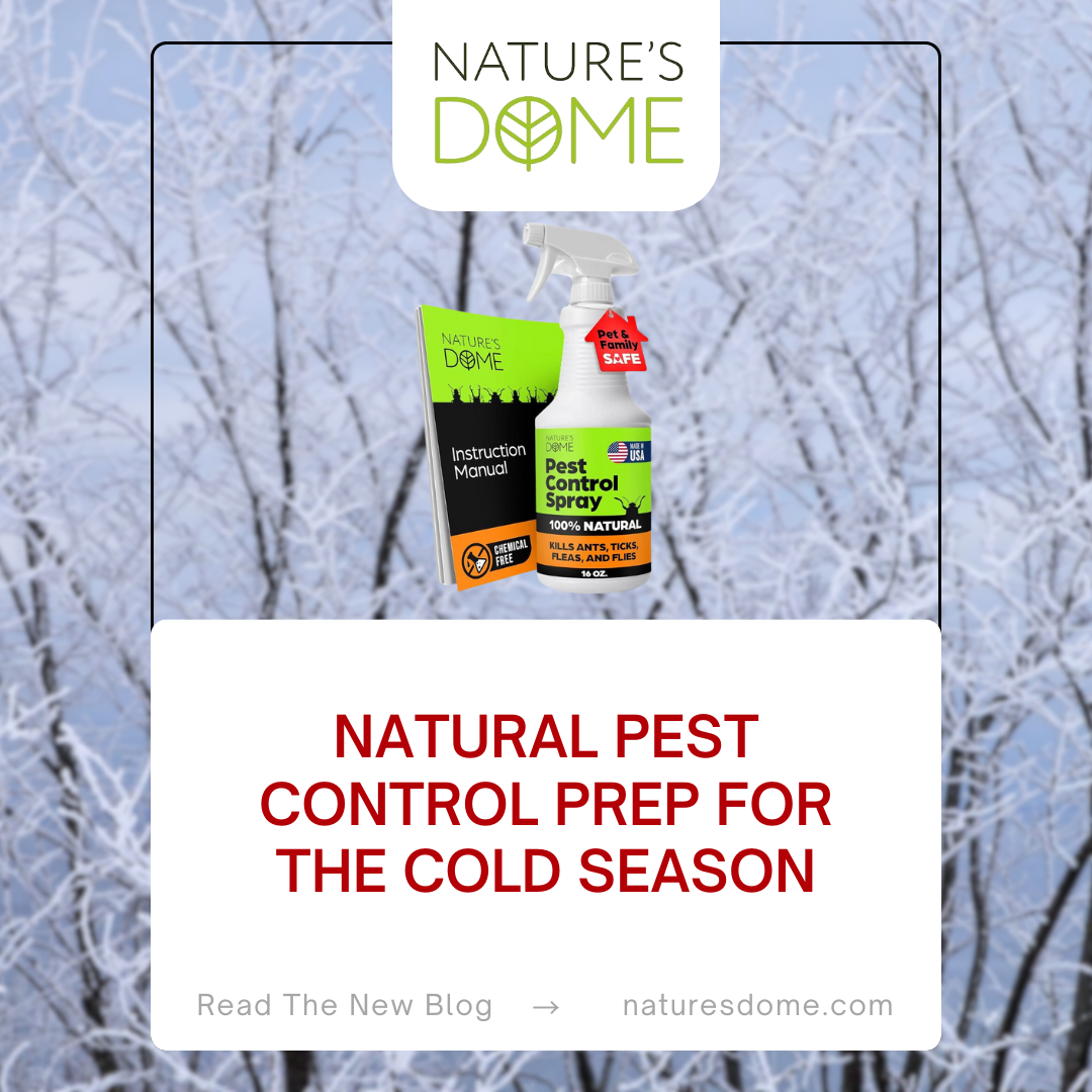 Natural Pest Control Prep for the Cold Season