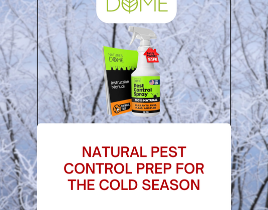Natural Pest Control Prep for the Cold Season