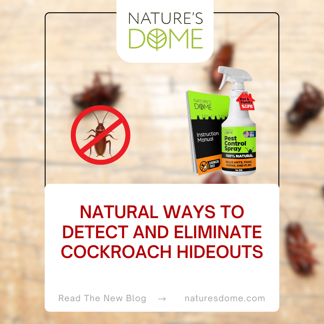 Natural Ways to Detect and Eliminate Cockroach Hideouts