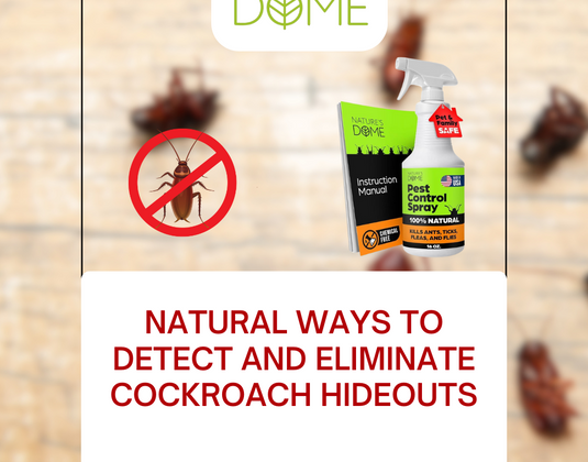 Natural Ways to Detect and Eliminate Cockroach Hideouts