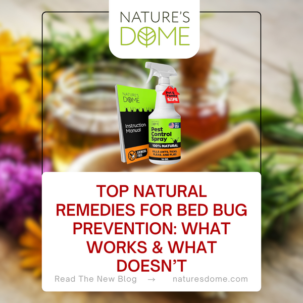 Top Natural Remedies for Bed Bug Prevention: What Works & What Doesn’t