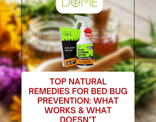 Top Natural Remedies for Bed Bug Prevention: What Works & What Doesn’t