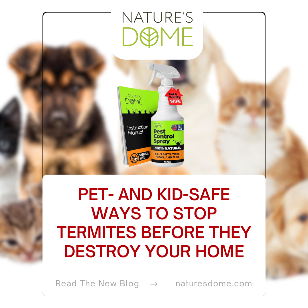 Pet- and Kid-Safe Ways to Stop Termites Before They Destroy Your Home
