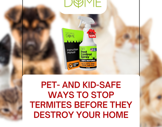 Pet- and Kid-Safe Ways to Stop Termites Before They Destroy Your Home