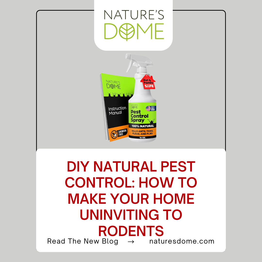 DIY Natural Pest Control: How to Make Your Home Uninviting to Rodents