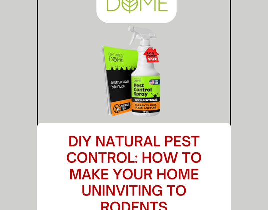 DIY Natural Pest Control: How to Make Your Home Uninviting to Rodents