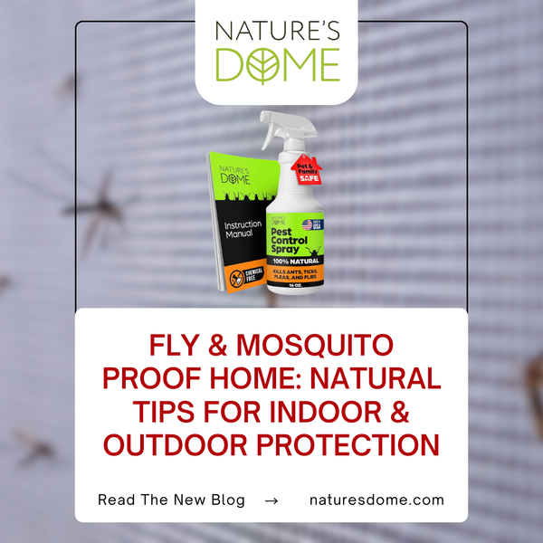 Fly & Mosquito Proof Home: Natural Tips for Indoor & Outdoor Protection