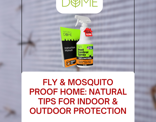 Fly & Mosquito Proof Home: Natural Tips for Indoor & Outdoor Protection