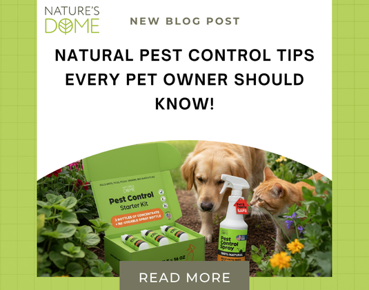 Natural Pest Control Tips Every Pet Owner Should Know!
