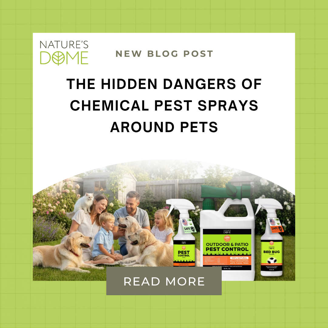 The Hidden Dangers of Chemical Pest Sprays Around Pets