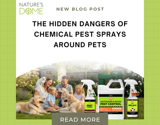 The Hidden Dangers of Chemical Pest Sprays Around Pets