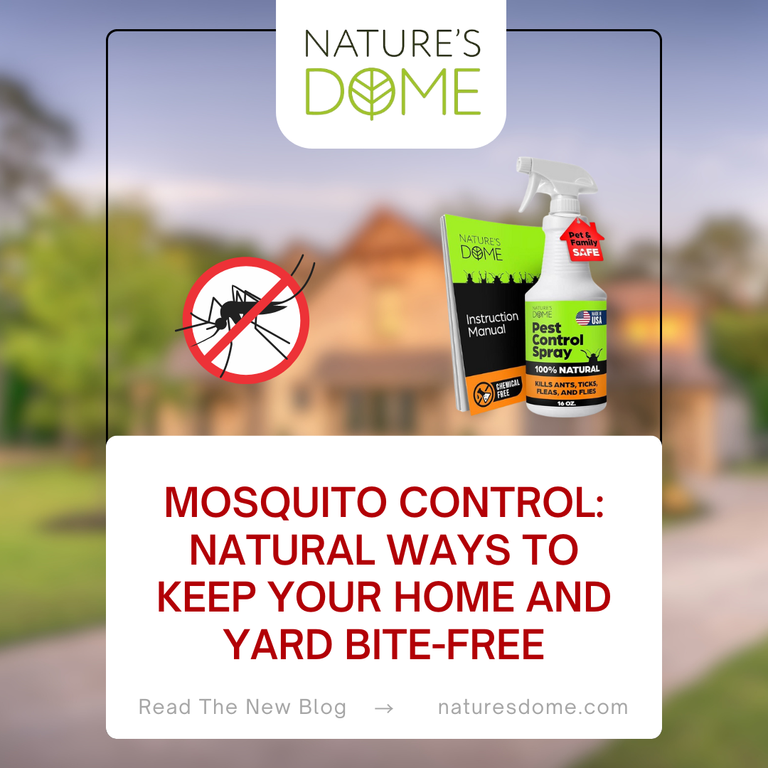 Mosquito Control: Natural Ways to Keep Your Home and Yard Bite-Free