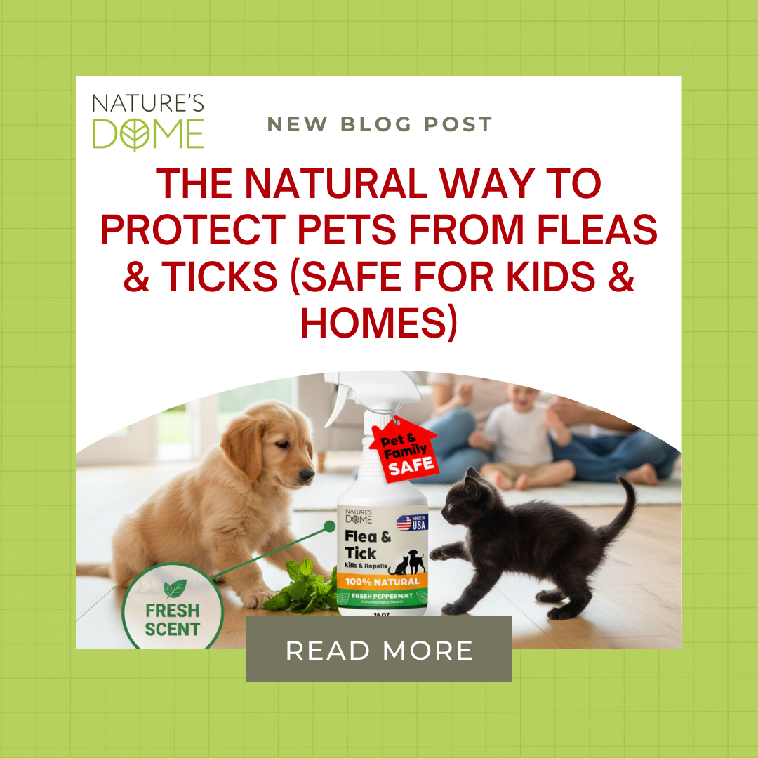 The Natural Way to Protect Pets from Fleas & Ticks (Safe for Kids & Homes)