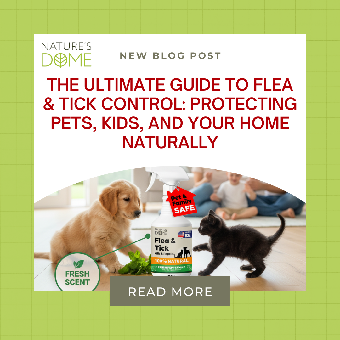 The Ultimate Guide to Flea & Tick Control: Protecting Pets, Kids, and Your Home Naturally