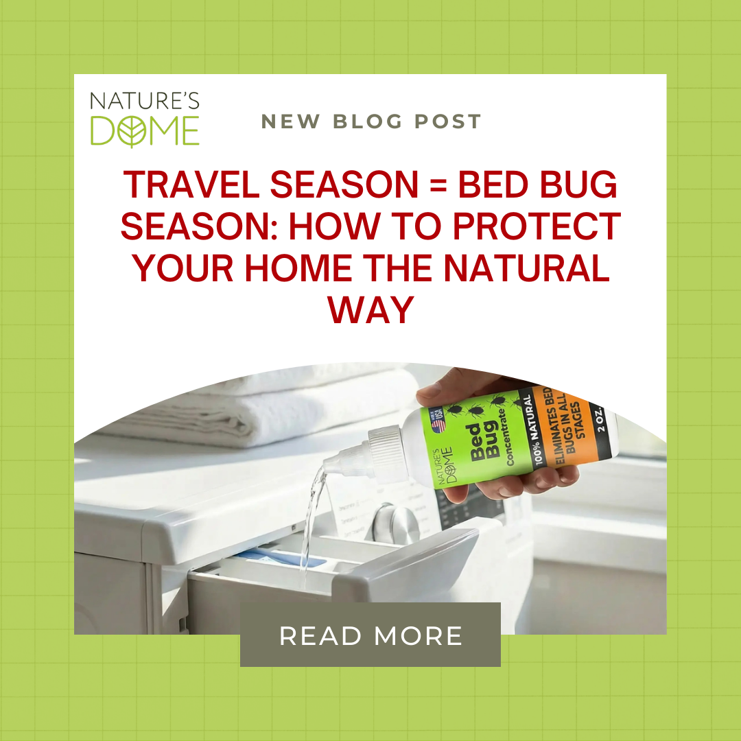 Travel Season = Bed Bug Season: How to Protect Your Home the Natural Way
