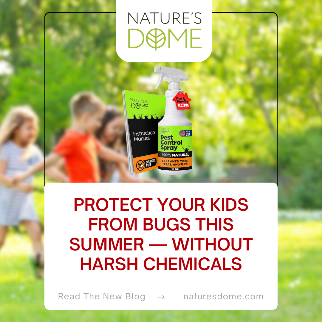 Protect Your Kids from Bugs This Summer — Without Harsh Chemicals