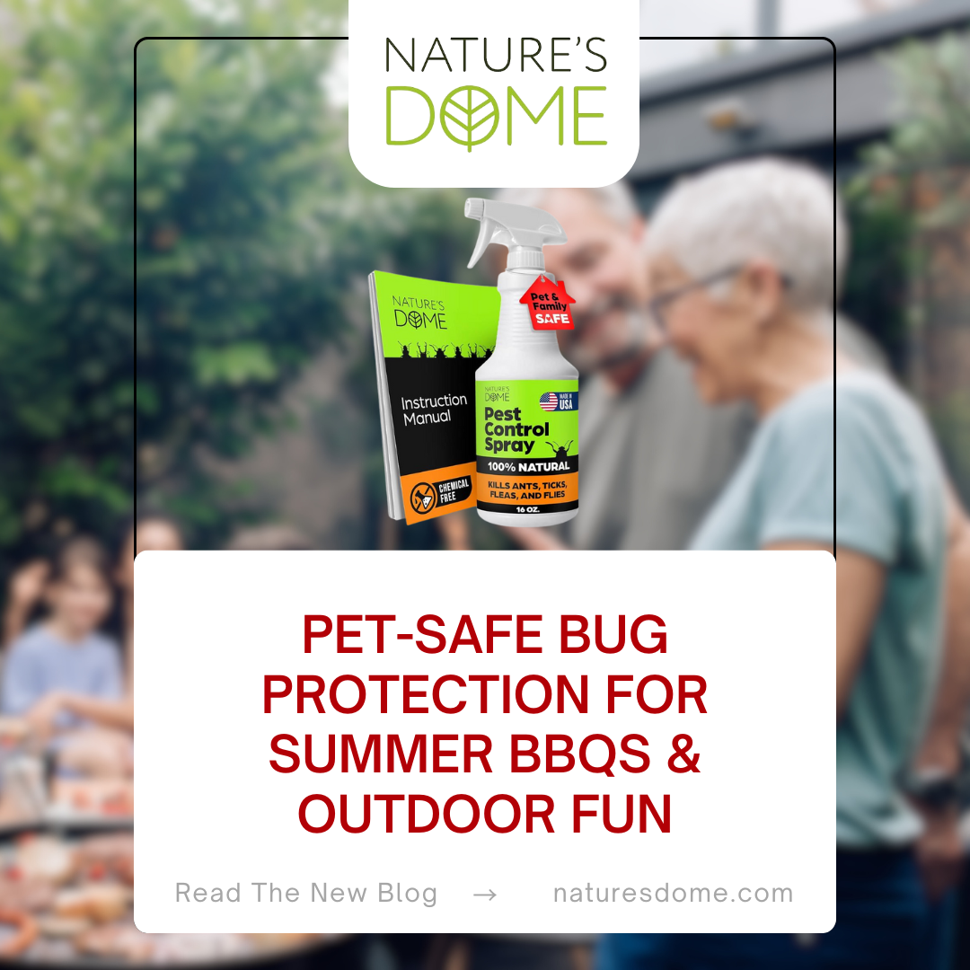 Pet-Safe Bug Protection for Summer BBQs & Outdoor Fun