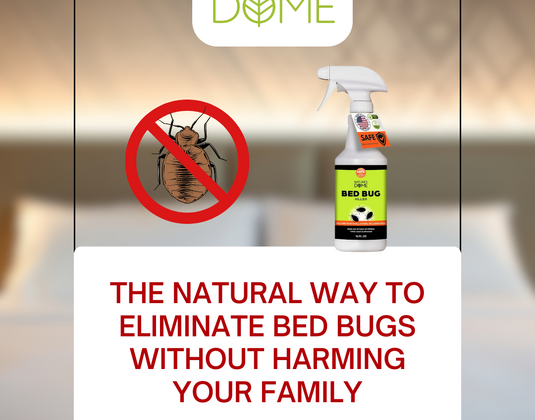 The Natural Way to Eliminate Bed Bugs Without Harming Your Family.