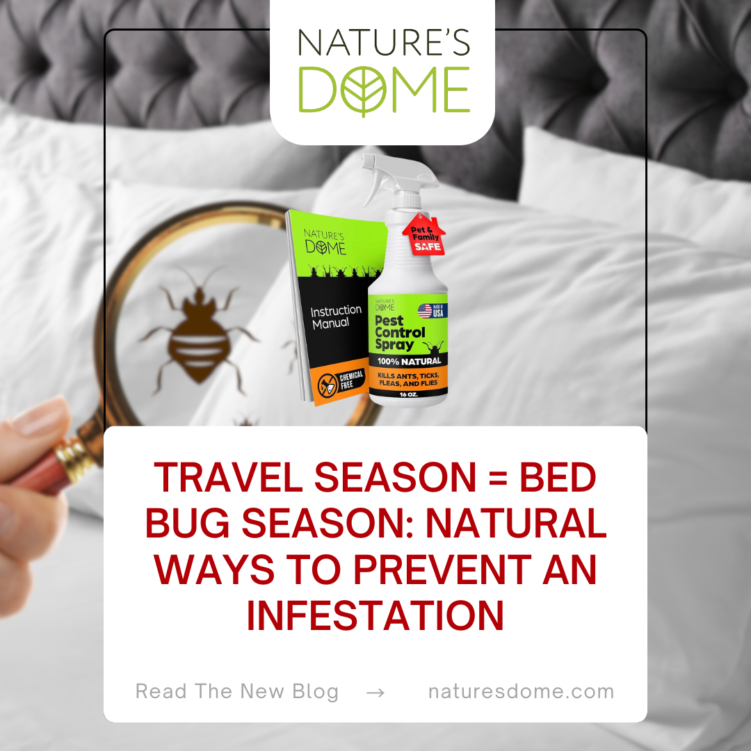 Travel Season = Bed Bug Season: Natural Ways to Prevent an Infestation