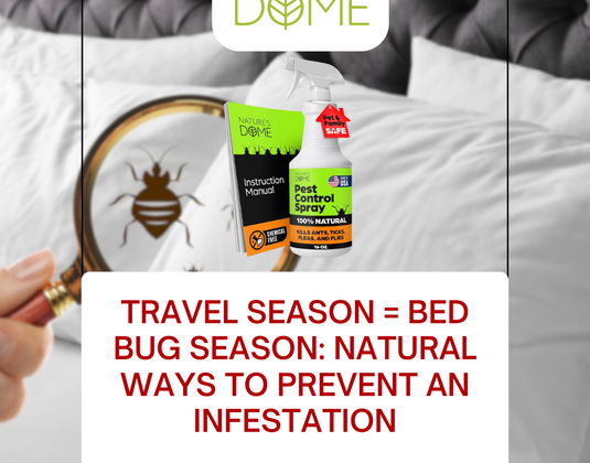 Travel Season = Bed Bug Season: Natural Ways to Prevent an Infestation