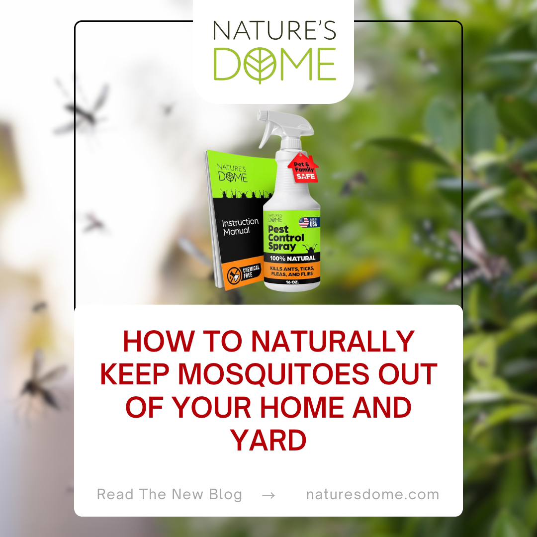 How to Naturally Keep Mosquitoes Out of Your Home and Yard