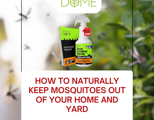 How to Naturally Keep Mosquitoes Out of Your Home and Yard