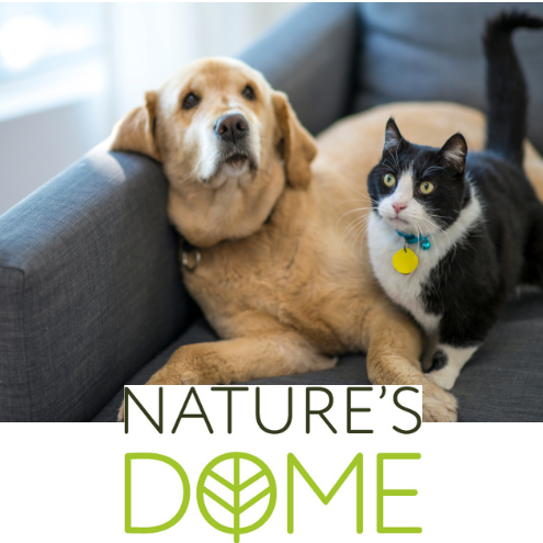 Nature’s Dome and Pet Safety: Why It’s the Safer Choice for Animal Lovers