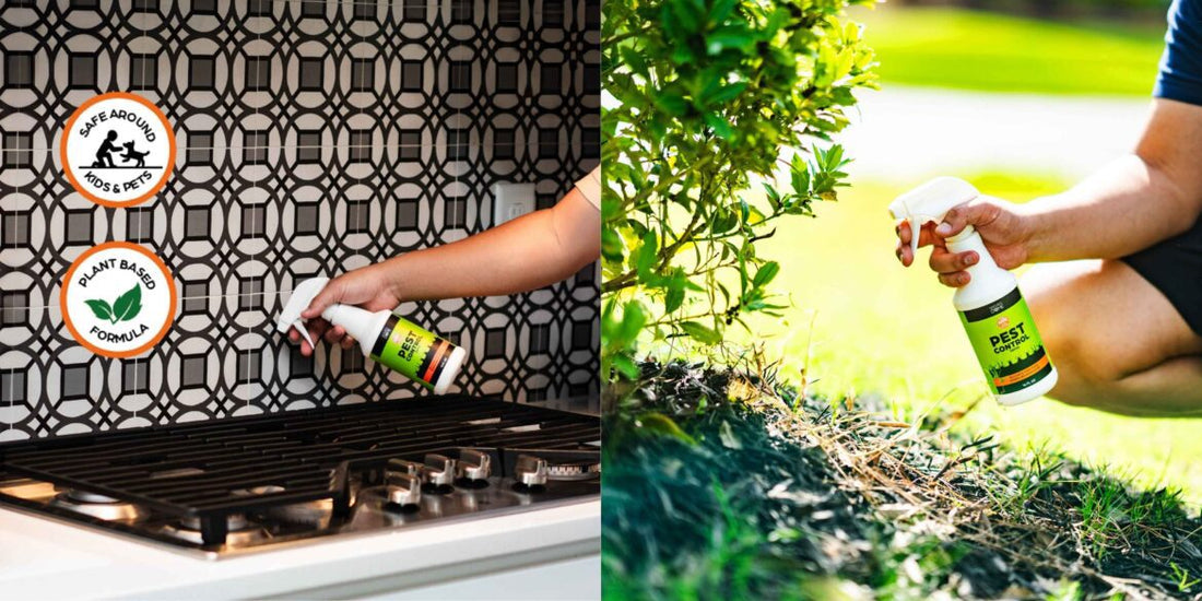 Nature’s Dome: The Safer, Smarter Way To Protect Your Family From Pests