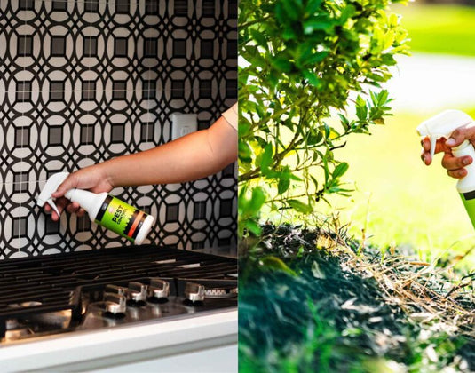 Nature’s Dome: The Safer, Smarter Way To Protect Your Family From Pests