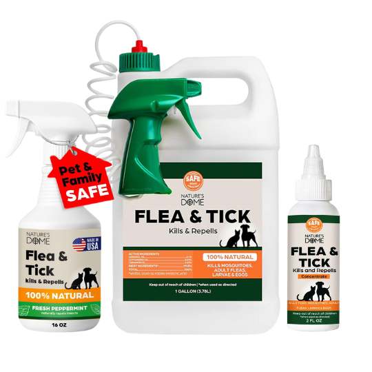 Flea & Tick Control