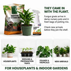 Nature's Dome Fungus Gnat Killer Spray 16 oz for Houseplants & Soil