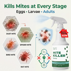 Nature's Dome Mite Spray 16 oz – Plant Based Treatment for Dust, Spider, Carpet, Bird, Rat Mites – Safe for Families, Pet, Home, Bedding & Furniture When Used As Directed