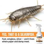 Nature's Dome Silverfish Spray 16 oz, Plant-Based Indoor Spray