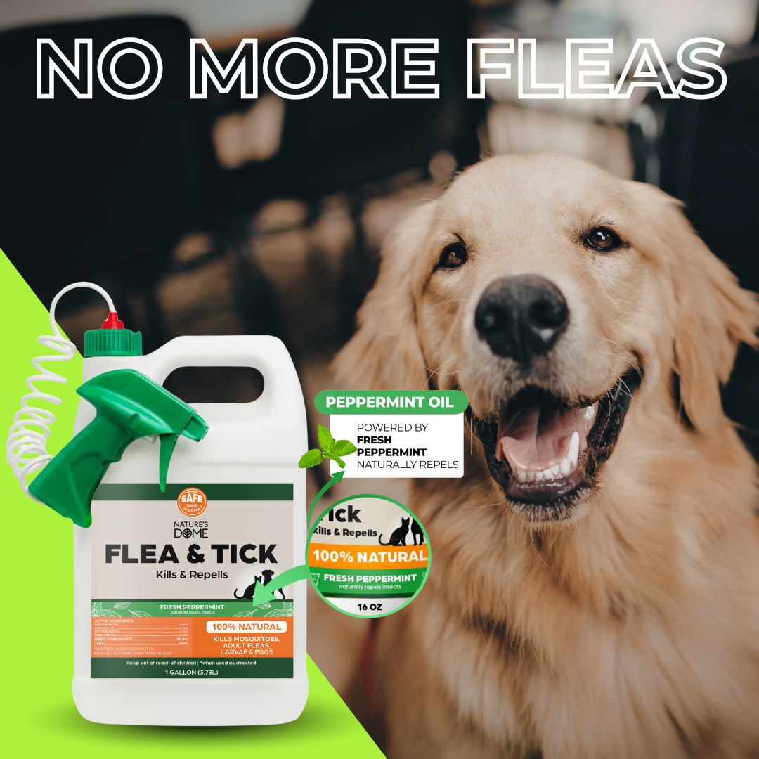 Nature’s Dome Outdoor Flea & Tick Spray – 1 Gallon Peppermint