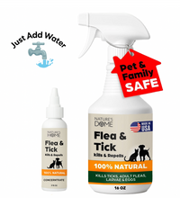 Nature’s Dome Outdoor Flea & Tick Spray – 16 oz Includes Bottle & Concentrate – Kills & Repels Fleas, Ticks, Larvae & Eggs – Plant-Based Pest Control – Safe for Pets, Kids & Plants – Just Add Water