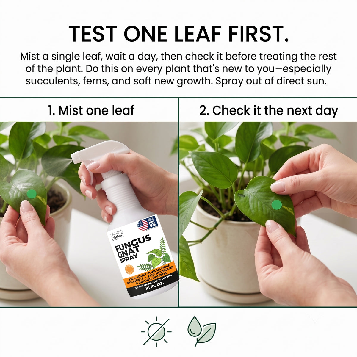 Nature's Dome Fungus Gnat Killer Spray 16 oz for Houseplants & Soil