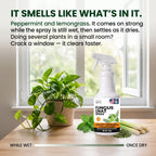 Nature's Dome Fungus Gnat Killer Spray 16 oz for Houseplants & Soil