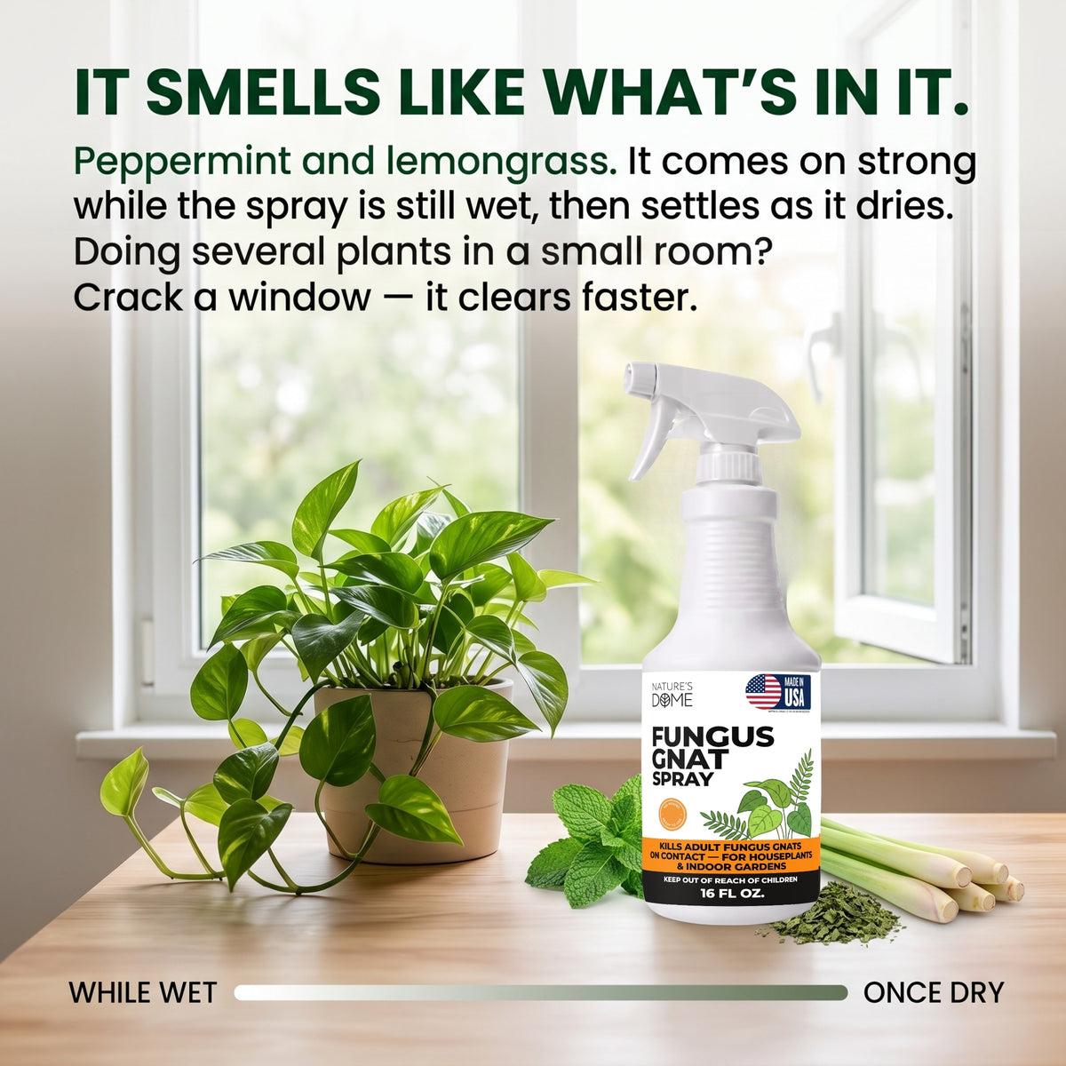 Nature's Dome Fungus Gnat Killer Spray 16 oz for Houseplants & Soil