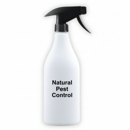 Plant-based pest control products