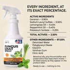 Nature's Dome Fungus Gnat Killer Spray 16 oz for Houseplants & Soil