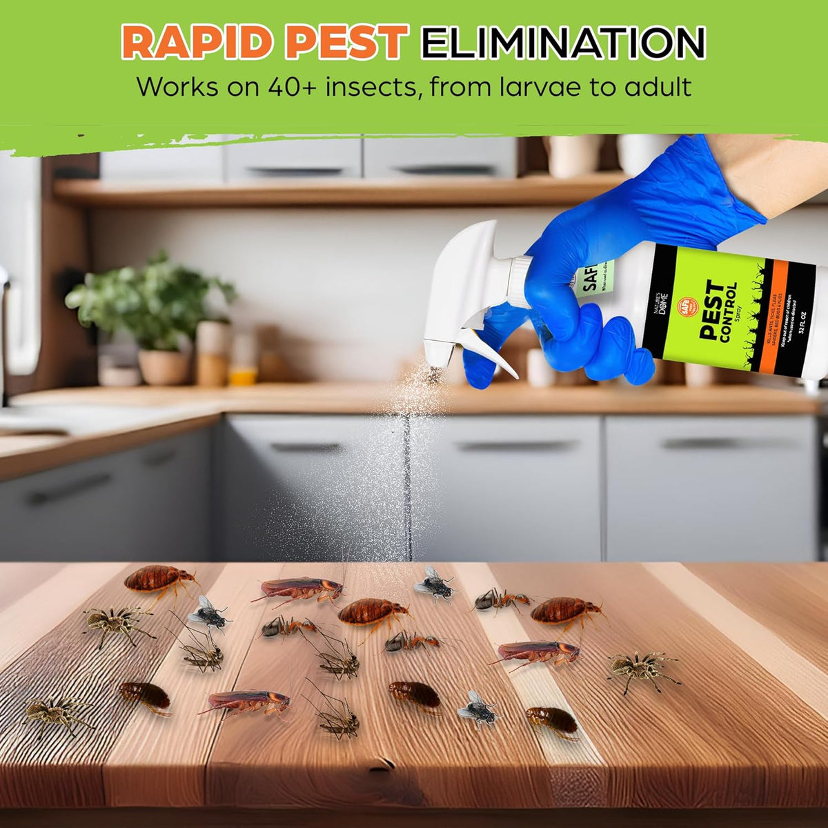 Nature's Dome Eco-Friendly Pest Control Spray – 32 oz – Ant, Roach, Spider, Fly, Flea and Insect Control with Natural Essential Oils – Fast-Acting, Child & Pet Safe for Indoor & Outdoor Use