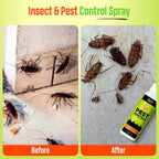 Nature’s Dome Indoor Bug Spray Concentrate – Pet & Kid Safe – 2 oz