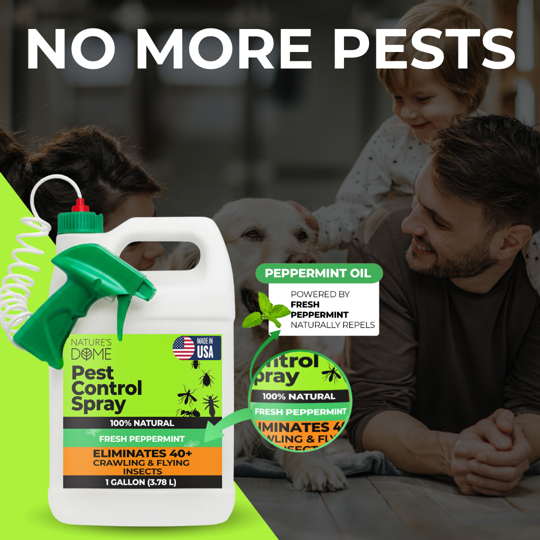 Nature’s Dome Natural Pest Spray – 1 Gallon Peppermint