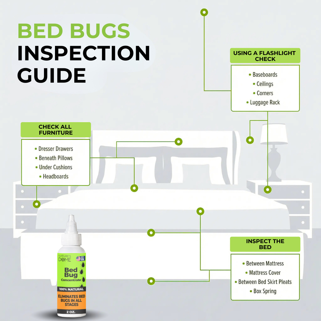 Nature’s Dome Bed Bug Concentrate 2 oz – Makes 16 oz